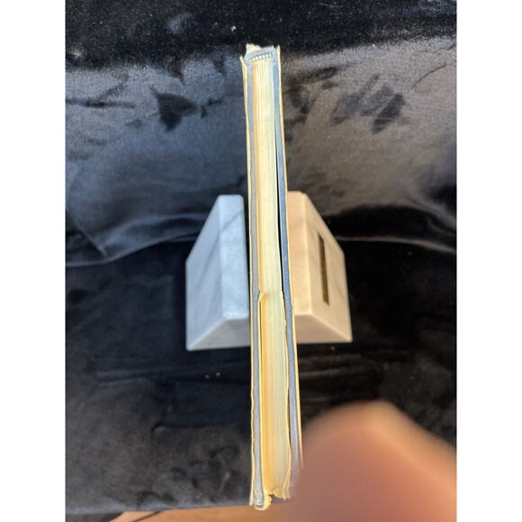 Vintage The Beauty of Dogs by Kenneth Bailey London England w Dust Jacket 1972 - Picture 5 of 13